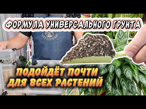 Делаем универсальный грунт для комнатных растений своими руками