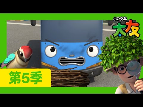 太友 第5季 第7集 l 太友的新朋友 l 小公交車太友 小巴士TAYO Chinese | 兒童漫畫 | 兒童卡通