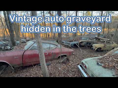 What's hidden in this amazing TN junkyard? An incredible place full of hard to find cars and parts.