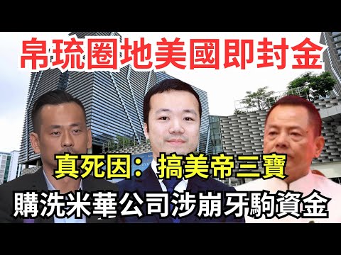 【小陳志敢￼搞美元、美軍】太子圈地觸美利益｜與崩牙駒的「共享」黑金帝國