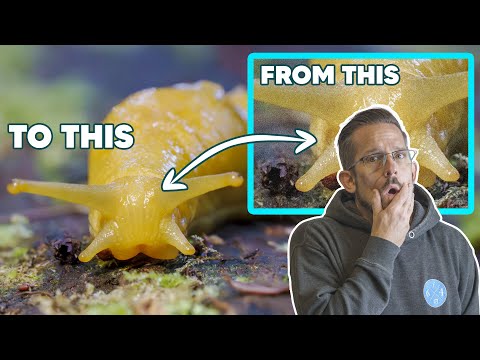 HIGH ISO • Who Cares? EPIC Noise Reduction in ACR & Lightroom