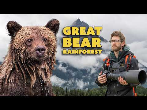 Wildlife Photography in the Great Bear Rainforest – Grizzlies, Camera Settings, and More!