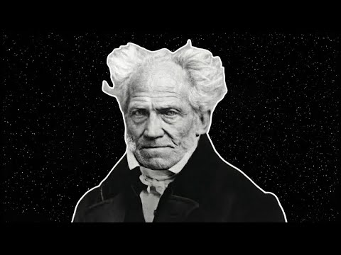 Why do we suffer? | All of Arthur Schopenhauer's Philosophy to Fall Asleep To