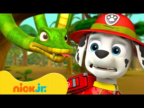 PAW Patrol Snake Rescues! w/ Marshall 🐍 10 Minutes | Nick Jr.