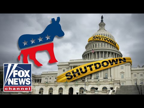 Democrat makes STUNNING admission on shutdown: 'Telling moment'