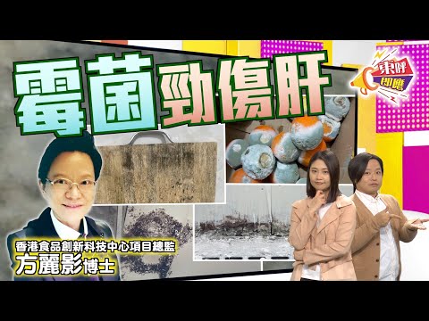 【on.cc東網】東呼即應：砧板霉菌超惡熱水淥唔死　牆身發霉分分鐘要剷過再髹