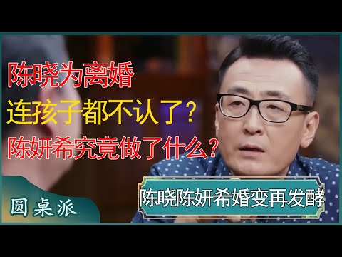 陈晓为离婚连孩子都不认了？陈妍希究竟做了什么？ #窦文涛 #梁文道 #马未都 #周轶君 #马家辉 #许子东 #圆桌派 #圆桌派第七季