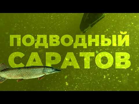 Здесь есть почти ЛЮБАЯ РЫБА! Подводная охота в Саратове