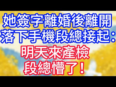 【情感故事】她簽字離婚後離開，落下手機段總接起：明天來產檢，段總懵了！#故事 #人生哲理