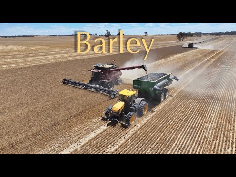 Barley - Carting enough to make +800,000 bottles of Beer