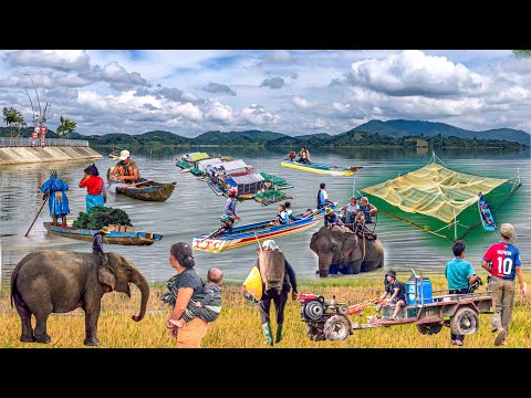 Nghề “Vó Đèn” Trên Hồ Thuỷ Điện | Hồ Lắk Lớn Nhất Tây Nguyên