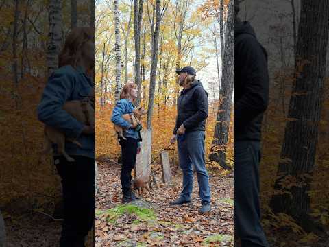 We Found An Abandoned Cemetery From The 1700s