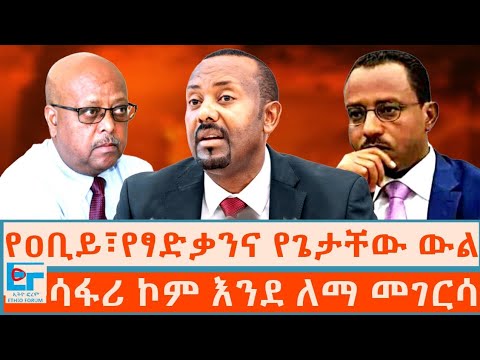 የዐቢይ፣የፃድቃንና የጌታቸው ውል ፤ ሳፋሪ ኮም እንደ ለማ መገርሳ |ETHIO FORUM