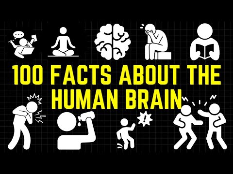 100 Facts About The Human Brain