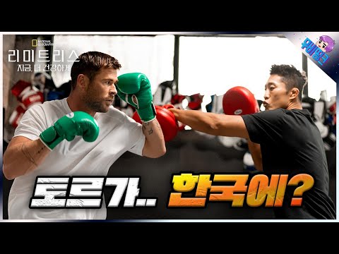 토르가 왜 한국에..? ≪리미트리스: 지금, 더 건강하게≫ 모든 에피소드 총정리 리뷰