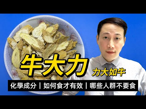牛大力，大力薯，強筋骨力大如牛，現在研究的化學成分和中醫功效，用牛大力如何食才有效？哪些人群不要食牛大力？