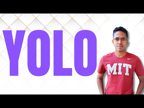 A beginners introduction to YOLO | You Only Look Once | Computer Vision