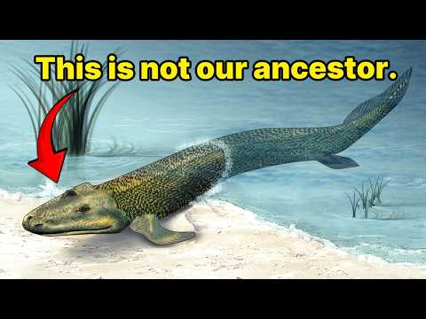 The Most Destructive Cartoon in the History of Science