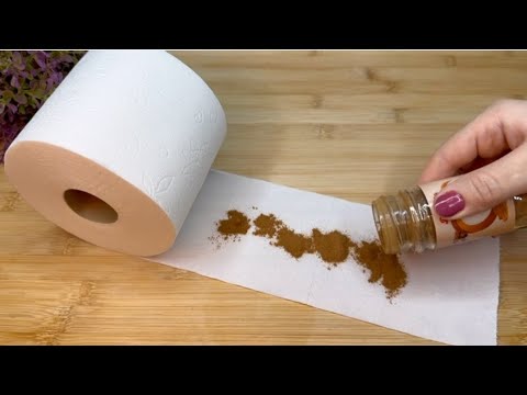 Put cinnamon on your toilet paper 😱 And you'll thank me forever.  TOP