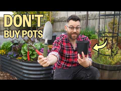 What Do New Gardeners ACTUALLY Need?