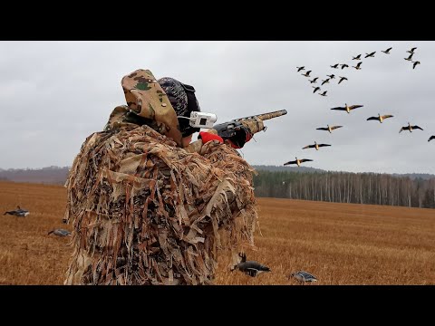 THIS IS WHAT CAMULATION DOES! SPRING GOOSE HUNT! WHERE DO I PUT THE MEAT!