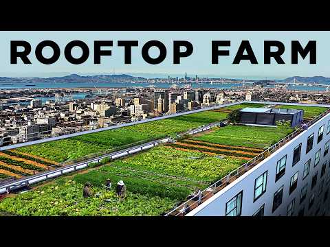 How this Rooftop Grew 20,000 lbs of Food