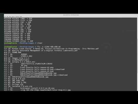 DFS101: 7.4 Data Recovery - The Sleuth Kit