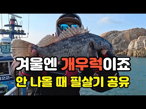 겨울 낚시하면 우럭! 어초, 침선은 다운샷과 다릅니다. 선상 낚시배_대천항 양파호 : 밍스타tv