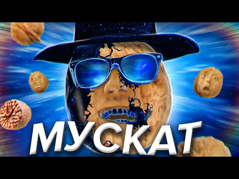 Legal Nut which is worse than Na₽koti😿ov