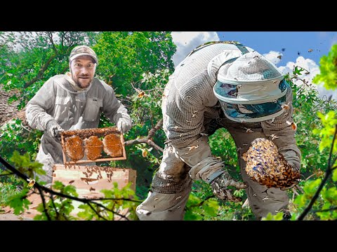 We Rescued the Hive after a Massive Storm
