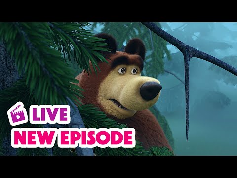 🔴 LIVE STREAM 🎬 Masha and the Bear 🆕 New Episode 🧌 Foggy Story 👻😶‍🌫️