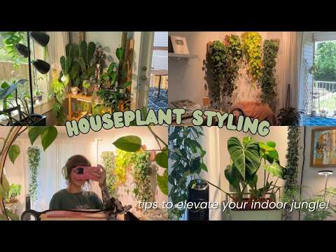 my fave ways to style houseplants 🌿🏡 cozy indoor jungle vibes!