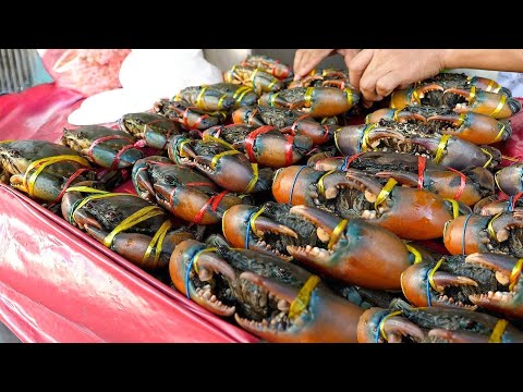 Delicious！Unique Crab Cooking, Crab Catching-Mud Crab, Flower Crab,King Crab/絕對美味！豪華蟹宴-萬里蟹、紅蟳、花蟹、帝王蟹