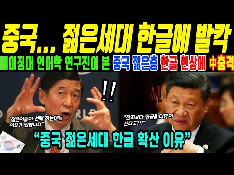 Chinese Generation Z's Choice: Hangul... Linguists Set Out to Analyze (Overseas Moving Stories)