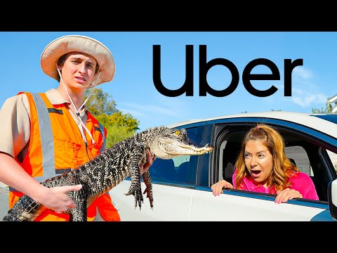 I Tested Weird Company Policies