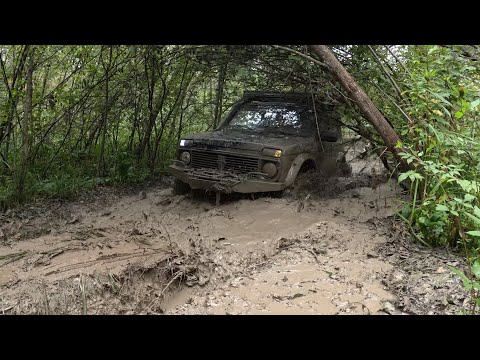 Безрассудное бегство из леса Нивы, Уазов, Тойоты, Паджеро, Чироки и даже китайского BAW 212.