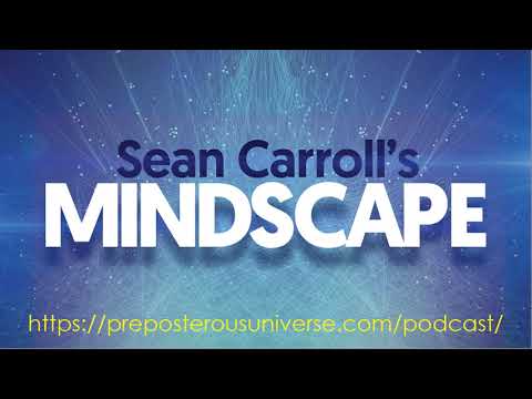 Mindscape 71 | Philip Goff on Consciousness Everywhere