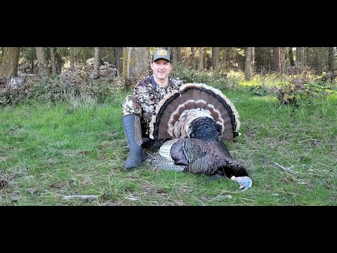 2023 Washington Spring Turkey Recap - Part 2