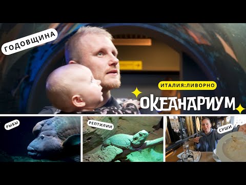 Как удивить жену!? Годовщина свадьбы. Аквариум. Ливорно 2025