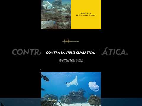 Regula el clima, alberga la mayor biodiversidad del planeta, y absorbe CO2. #DíaMundialdelAgua