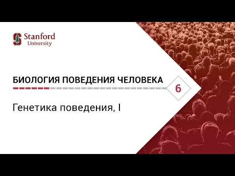 Биология поведения человека: Лекция #6. Генетика поведения, I [Роберт Сапольски, 2010. Стэнфорд]