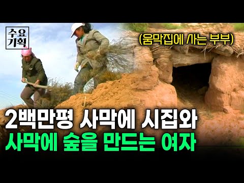 사람 하나 없는 사막에 살고 있는 한 부부. 오로지 살기 위해 200만평을 임대받아 나무를 심고 있다  [수요기획] | KBS 2006.04.05