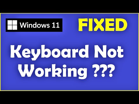 Keyboard Not Working in Windows 11 | How to Fix Keyboard Not Detecting Problem
