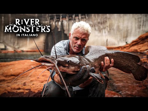Il Feroce VUNDU che Vive in una DIGA SEGRETA!! 🐍💀 - River Monsters ITA