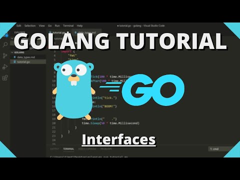 Golang Tutorial #22 - Interfaces