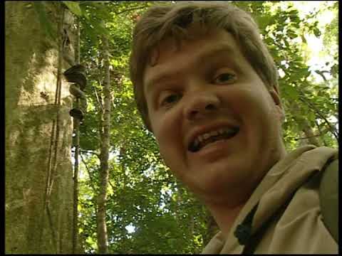 Jungle Survival (2002) Ray Mears' Extreme Survival