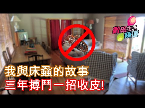 與床蝨/木蝨搏鬥三年，乜野都試過晒，農藥機器執屋乜都做過，最後靠呢樣工具收佢皮 | 香港廣東話 | 20231112