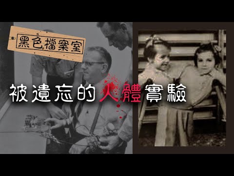 人形蜈蚣真實上演？心理學家竟挖出人性黑暗面！回顧歷史上的人體實驗｜下水道先生