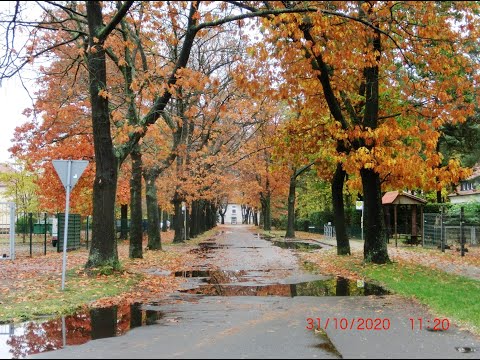 ГСВГ. Altes Lager.Четвертый городок,Групповые склады 31.10.2020