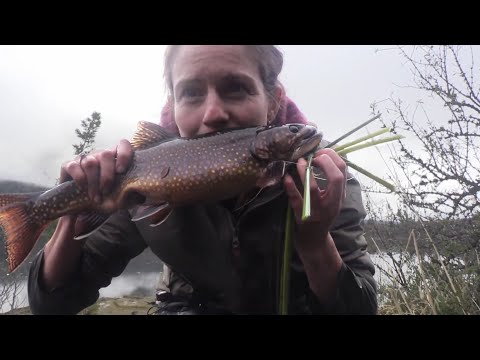 Ten Contestants Start A Deserted Island Survival Competition, Eating Raw Fish For A $500,000 Prize!